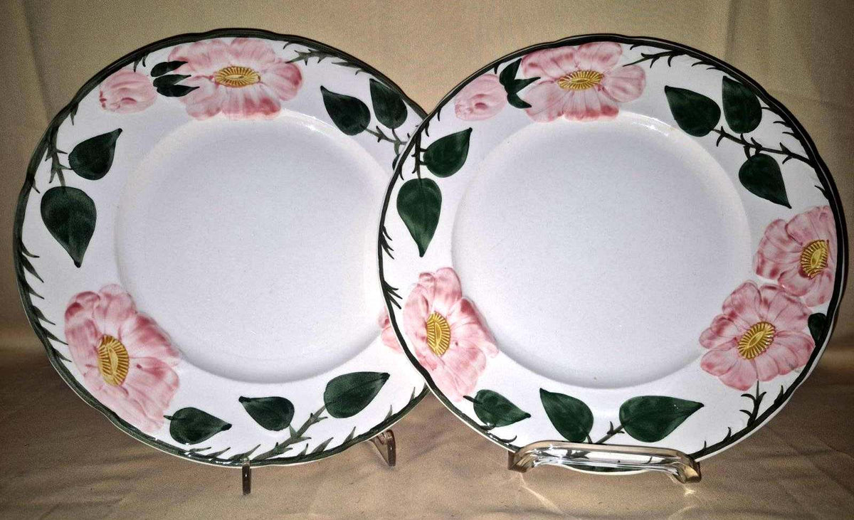 Villeroy & Boch "Wild-Rose" 6 Speise-Teller Essteller  flache Teller Handgemalt