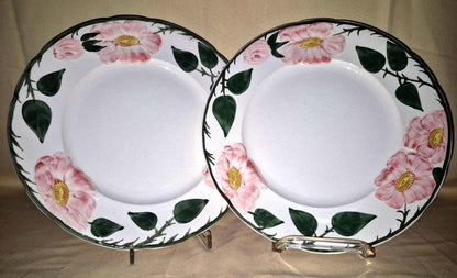 Villeroy & Boch "Wild-Rose" 6 Speise-Teller Essteller  flache Teller Handgemalt
