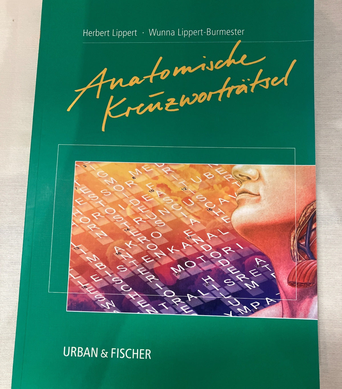 Anatomische Kreuzworträtsel Lippert Urban & Fischer Medizin Anatomie Lernbuch