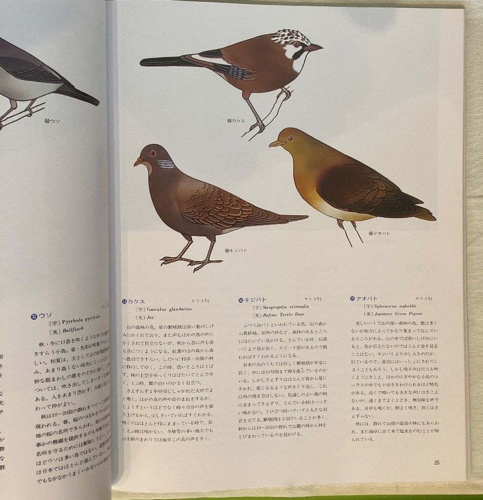 NHK 日本の野鳥 森の四季 LP Vinyl Box Set Japan Vogelstimmen Natur Rarität