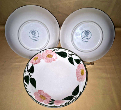 Villeroy & Boch "Wild-Rose" 6 Suppenteller tiefe Teller handgemalt