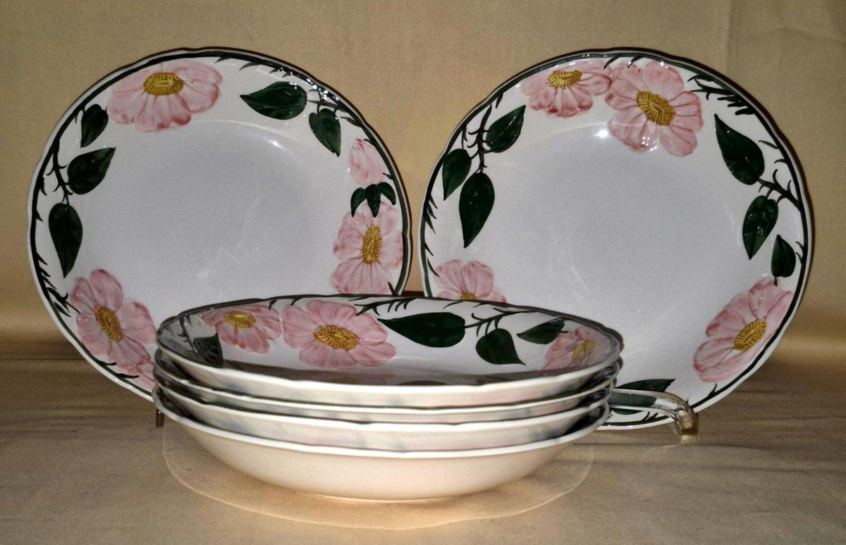 Villeroy & Boch "Wild-Rose" 6 Suppenteller tiefe Teller handgemalt