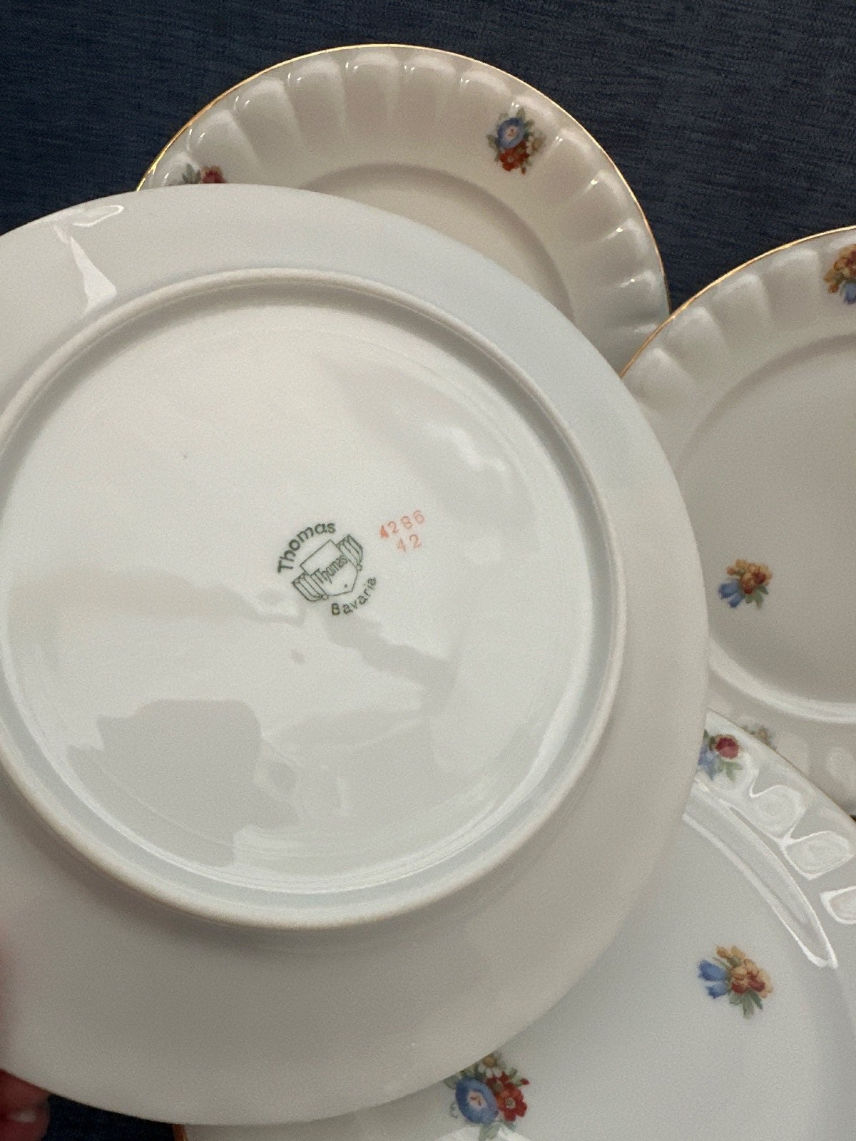 Thomas Bavaria Porzellan Frühstücks Teller Set 6x Blumendekor Goldrand Vintage