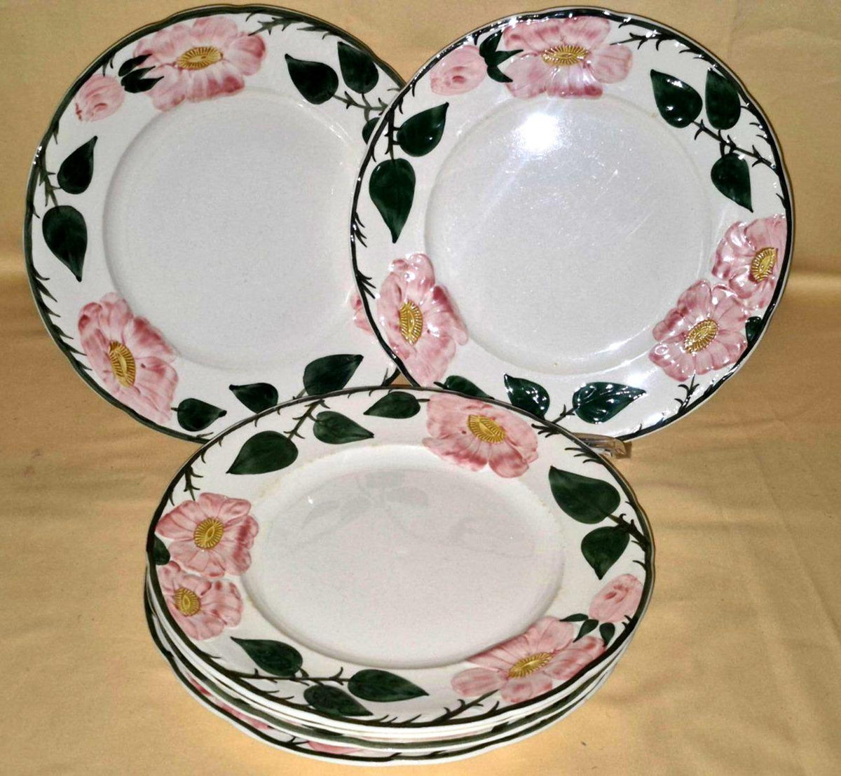 Villeroy & Boch "Wild-Rose" 6 Speise-Teller Essteller  flache Teller Handgemalt