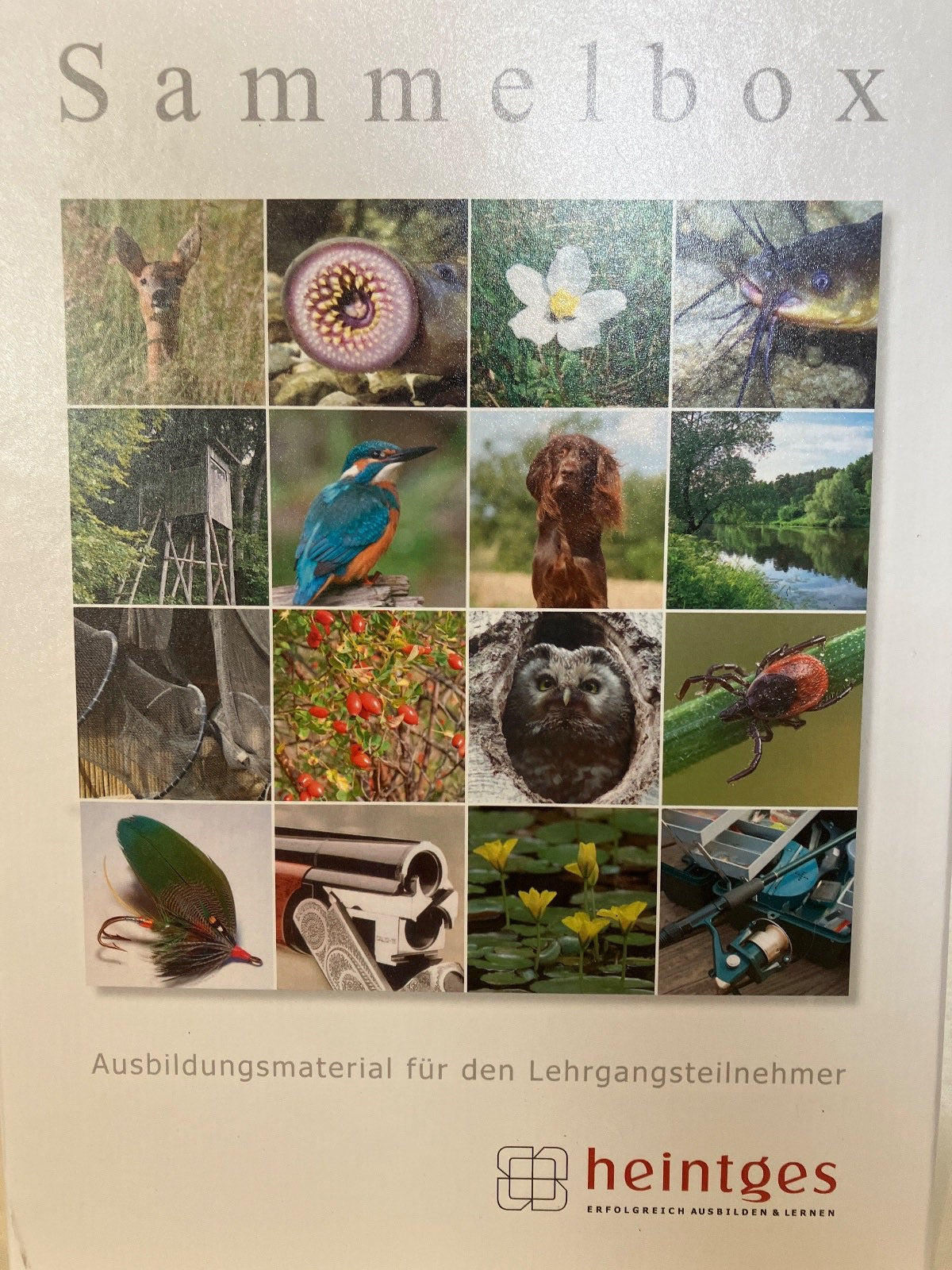 Heintges Sicher durch die Jägerprüfung Sammelbox Lernpaket Arbeitsblätter Set