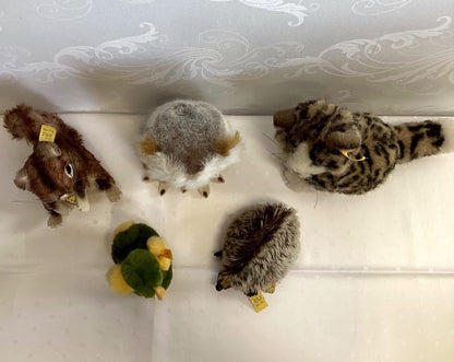 Steiff Konvolut 5 Tiere Perri Eichhörnchen Eule Katze Igel Vogel Ente