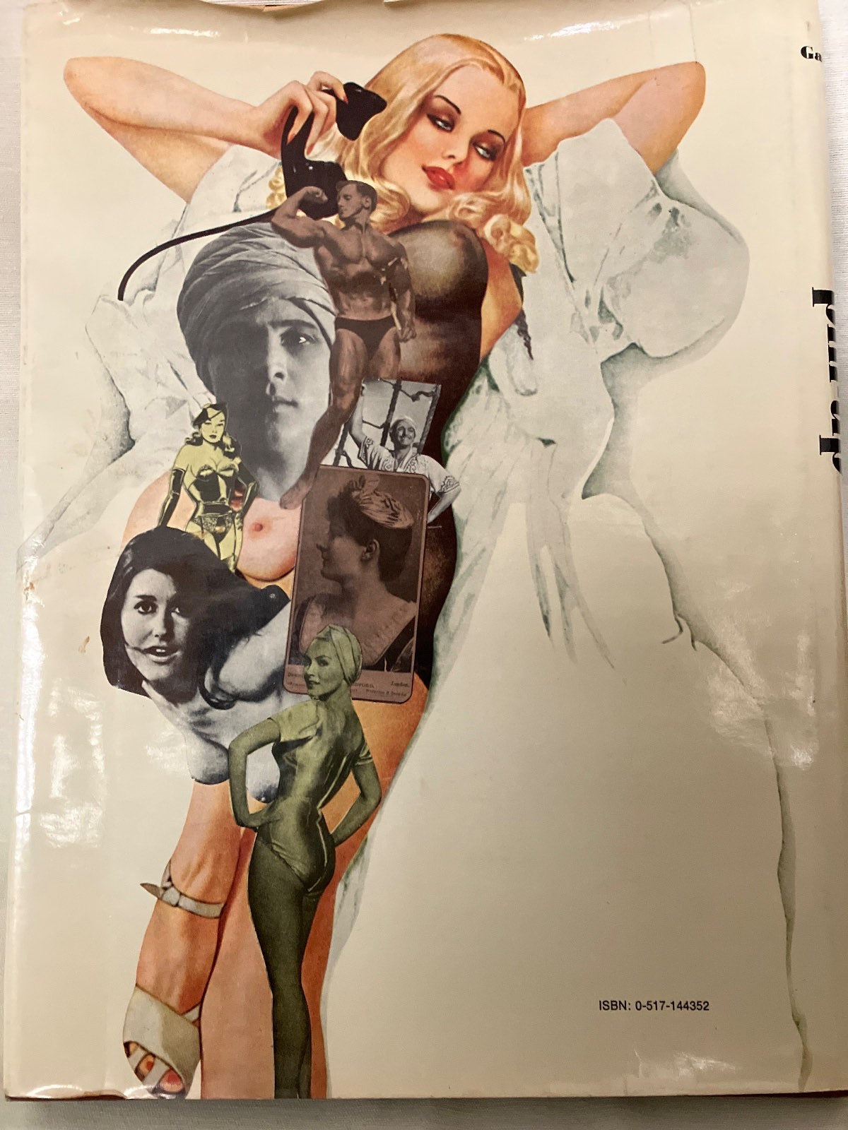 The Pin-Up A Modest History Mark Gabor Bildband Hardcover Vintage Pin-Up Art