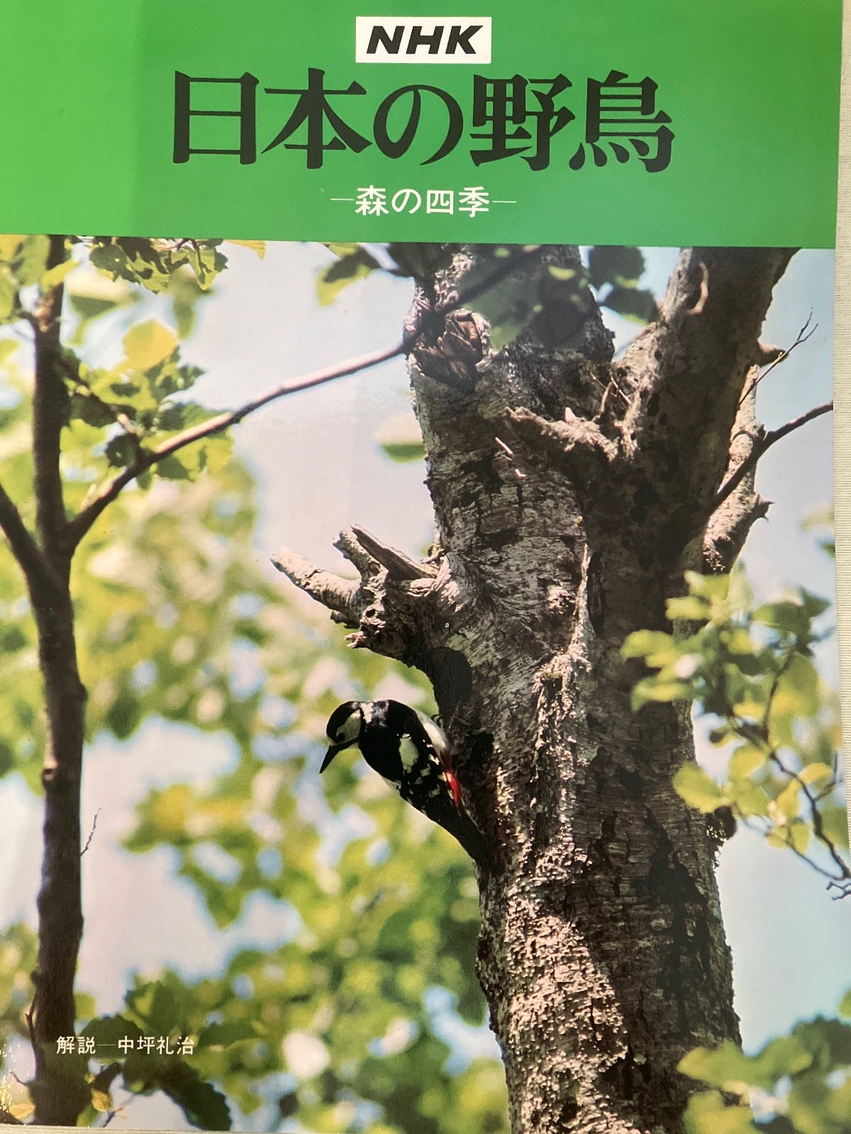 NHK 日本の野鳥 森の四季 LP Vinyl Box Set Japan Vogelstimmen Natur Rarität