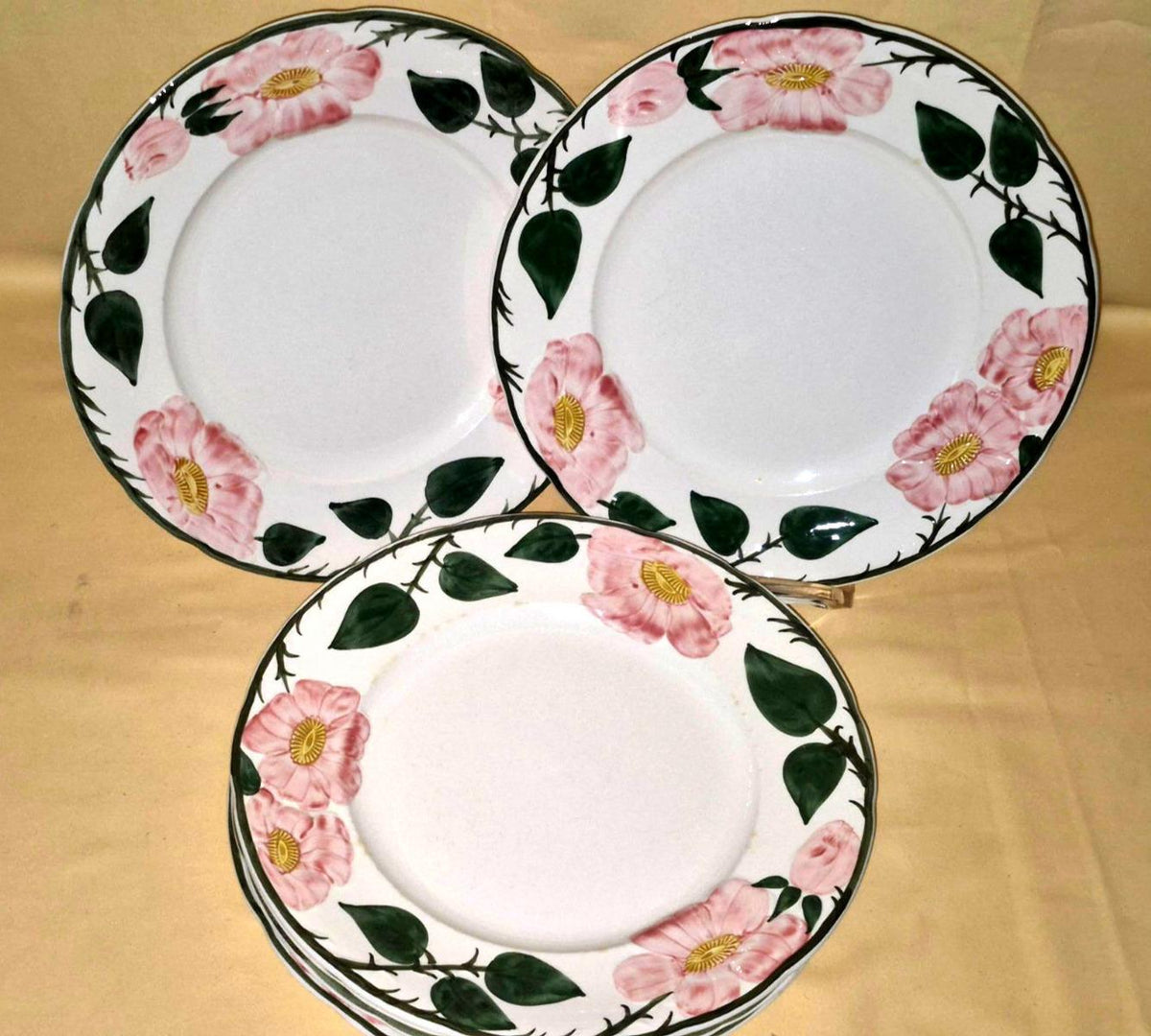 Villeroy & Boch "Wild-Rose" 6 Speise-Teller Essteller  flache Teller Handgemalt