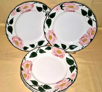 Villeroy & Boch "Wild-Rose" 6 Speise-Teller Essteller  flache Teller Handgemalt