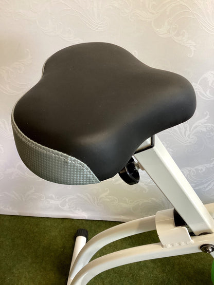 Faltbares Heimtrainer X-Bike Fitnessbike klappbar LCD-Display grün weiß