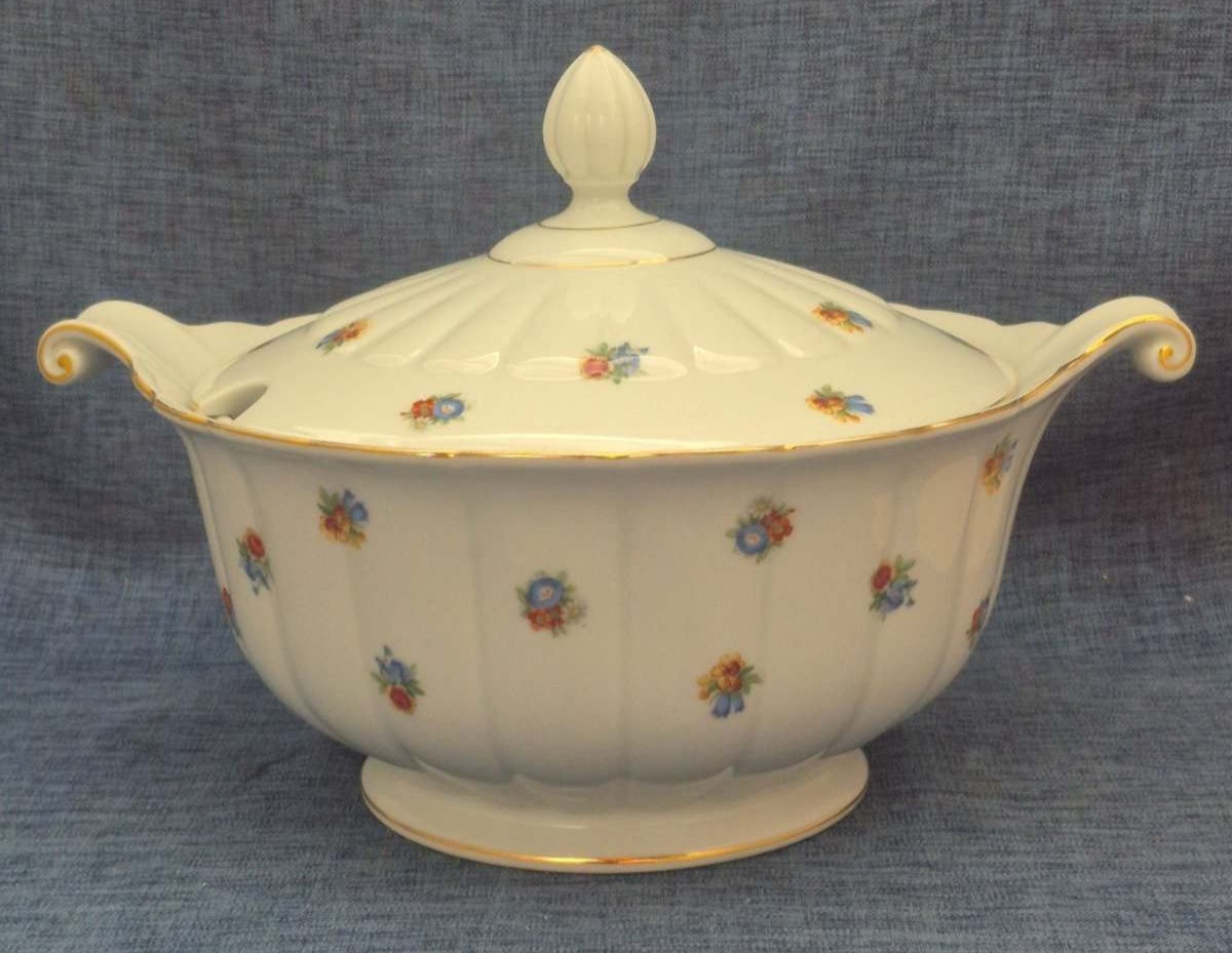 Thomas Bavaria xxl Suppenterrine Porzellan Blumendekor Goldrand 1950/60er
