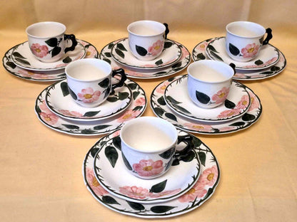 Villeroy & Boch "Wild-Rose" Kaffeeservice 6 Pers. 18-tlg Handmalerei Germany