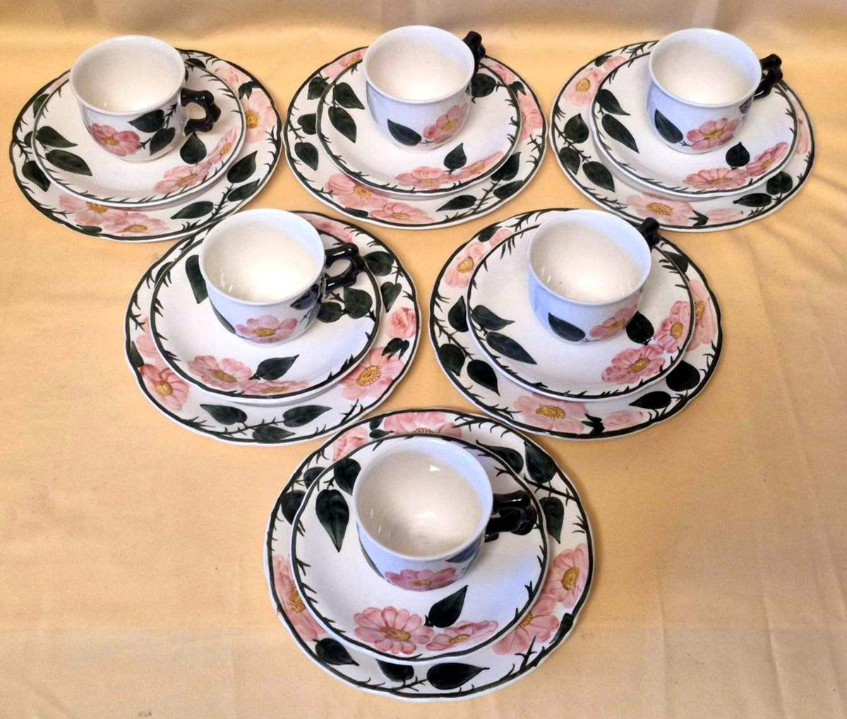 Villeroy & Boch "Wild-Rose" Kaffeeservice 6 Pers. 18-tlg Handmalerei Germany