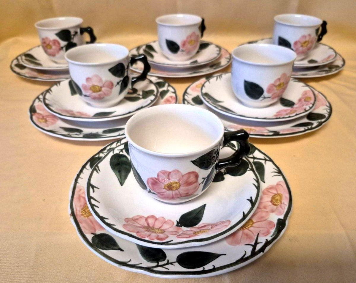 Villeroy & Boch "Wild-Rose" Kaffeeservice 6 Pers. 18-tlg Handmalerei Germany