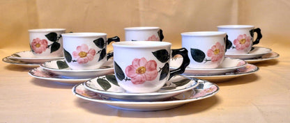 Villeroy & Boch "Wild-Rose" Kaffeeservice 6 Pers. 18-tlg Handmalerei Germany