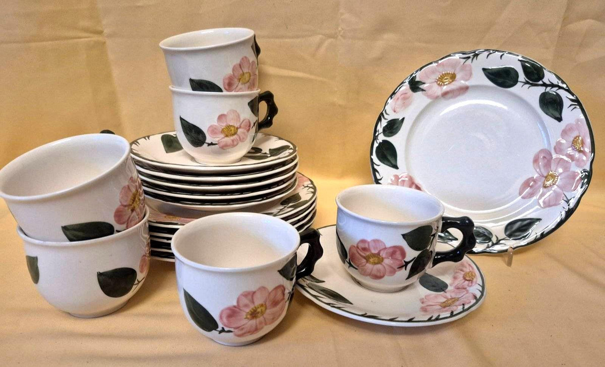 Villeroy & Boch "Wild-Rose" Kaffeeservice 6 Pers. 18-tlg Handmalerei Germany
