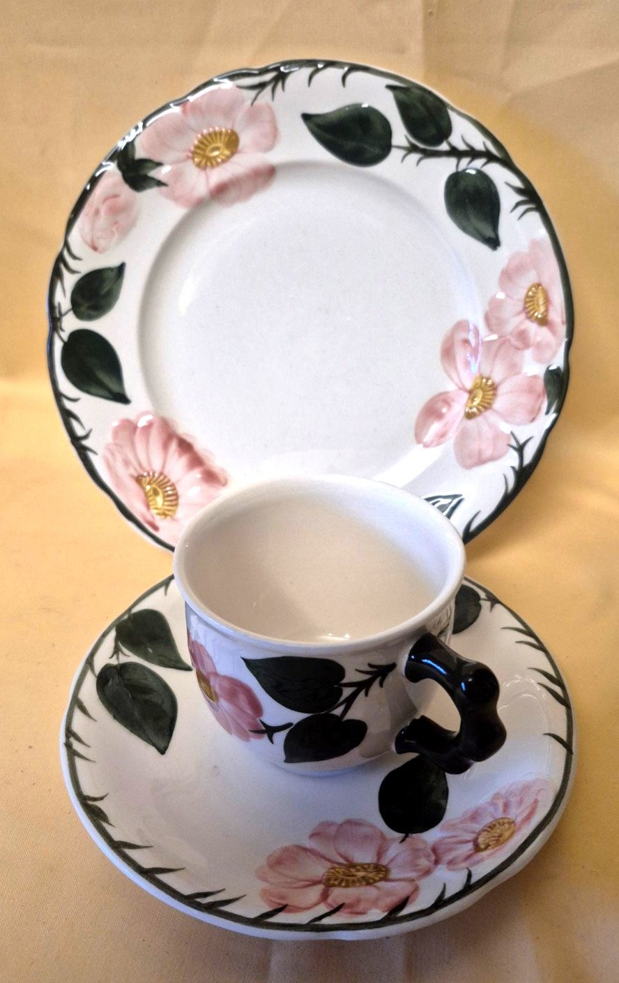 Villeroy & Boch "Wild-Rose" Kaffeeservice 6 Pers. 18-tlg Handmalerei Germany