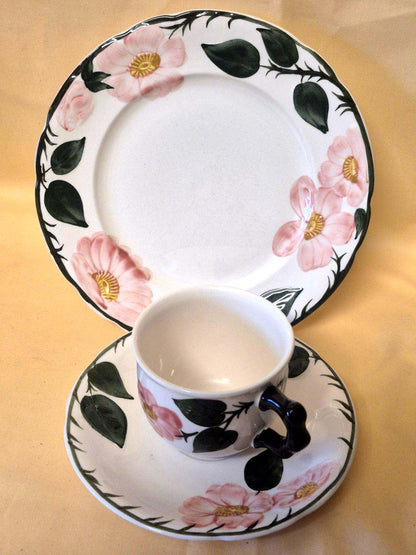 Villeroy & Boch "Wild-Rose" Kaffeeservice 6 Pers. 18-tlg Handmalerei Germany